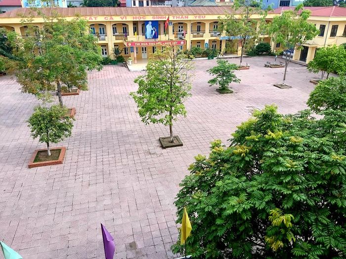 Hình ảnh đầu tiên về Trường Tiểu học An Khánh B - ngôi trường khang trang với kiến trúc hiện đại, không gian xanh mát tạo môi trường học tập lý tưởng.