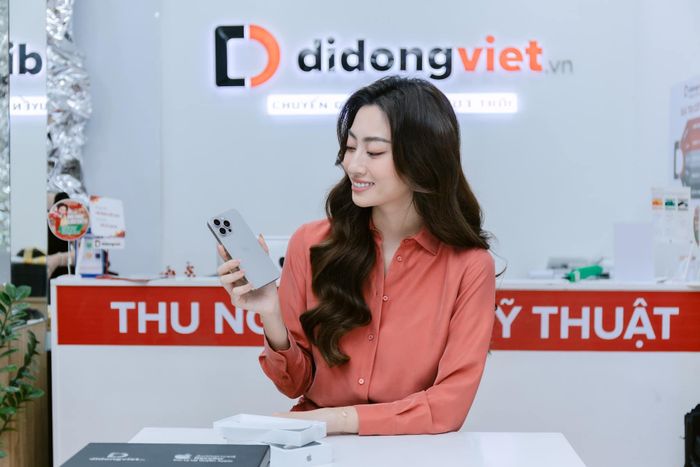 Di Động Việt ảnh 2