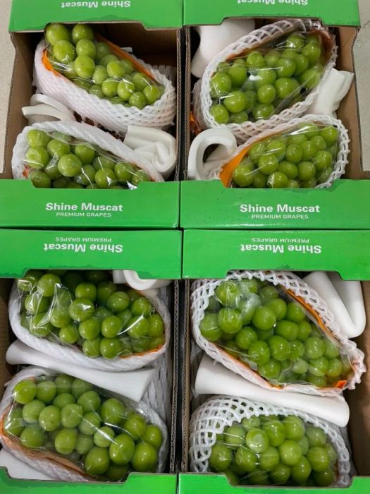 Không gian mua sắm sang trọng tại Ngọc Châu Fruits