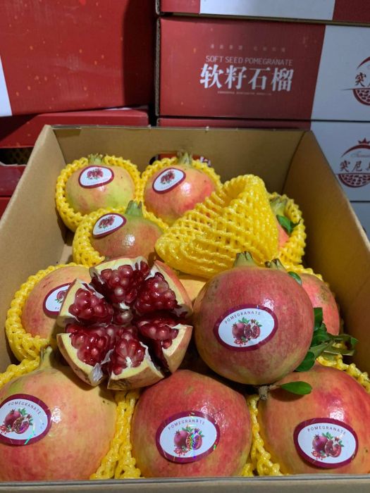 Khoảnh khắc xuất sắc - Hoa quả nhập khẩu Biovegi tươi ngon như vừa hái từ vườn