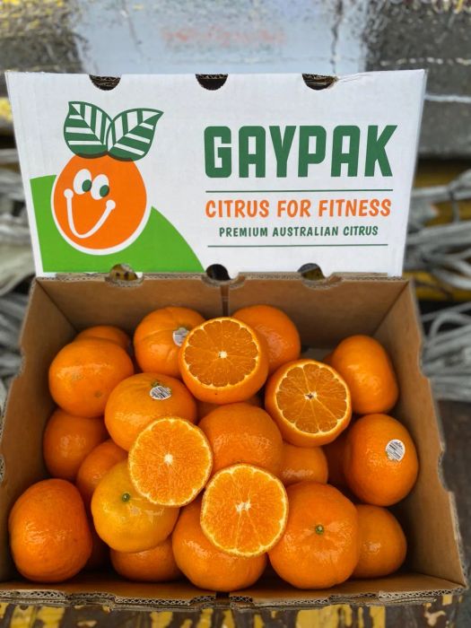 Không gian trưng bày đa dạng tại BigFruit