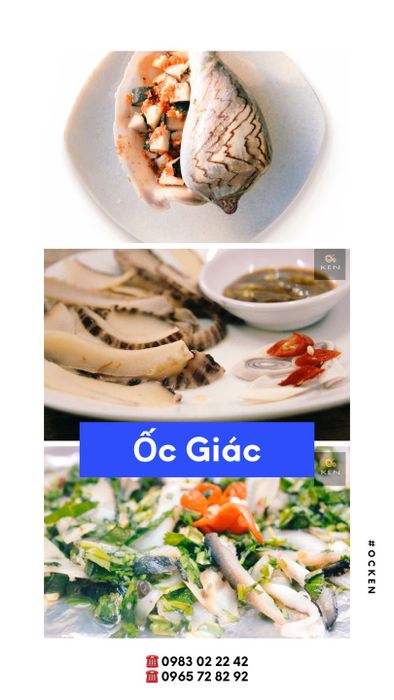 Những món ốc tươi ngon, hấp dẫn tại Ốc Ken