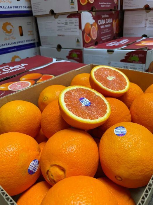 Bộ sưu tập trái cây nhập khẩu cao cấp tại Ngọc Châu Fruits
