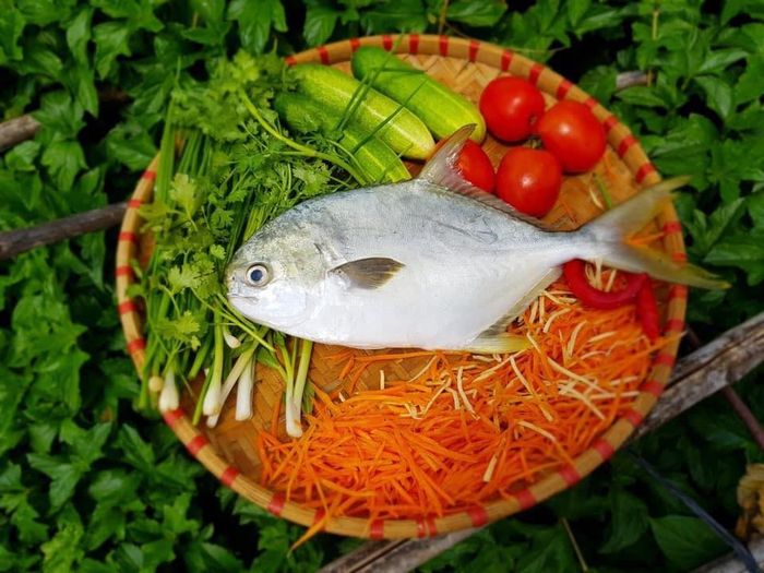 CleverFood - Hình ảnh đầu tiên về không gian mua sắm hiện đại