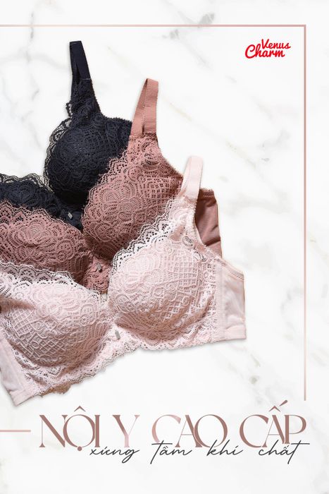 Venus Charm - Bộ sưu tập thời trang nội y không gọng ảnh 3