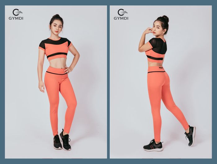 Bộ sưu tập đồ tập đa dạng từ GYMDI - Kết hợp hoàn hảo giữa thẩm mỹ và vận động