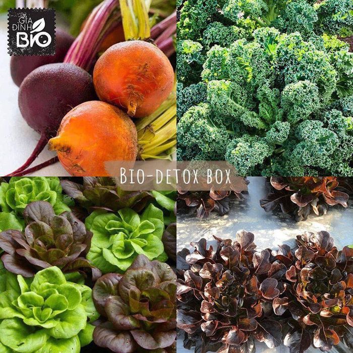 Gia đình Bio - Hình ảnh đầu tiên về thiên đường thực phẩm hữu cơ