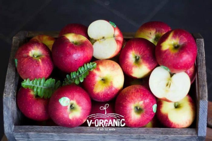 V-Organic - Hình ảnh đầu tiên về trang trại hữu cơ thuần tự nhiên