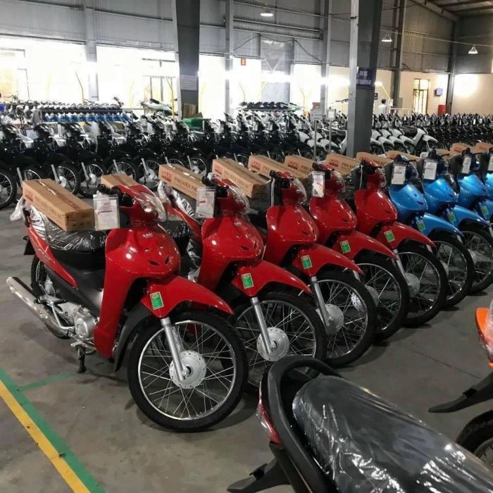 Hình ảnh ấn tượng về Xe Điện Bảo Tín - phiên bản thứ 2