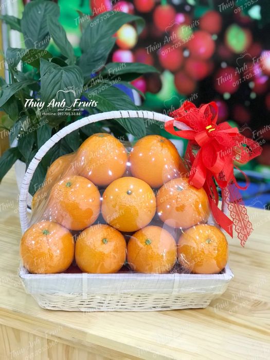 Hình ảnh trưng bày sản phẩm cao cấp tại Thủy Anh Fruits