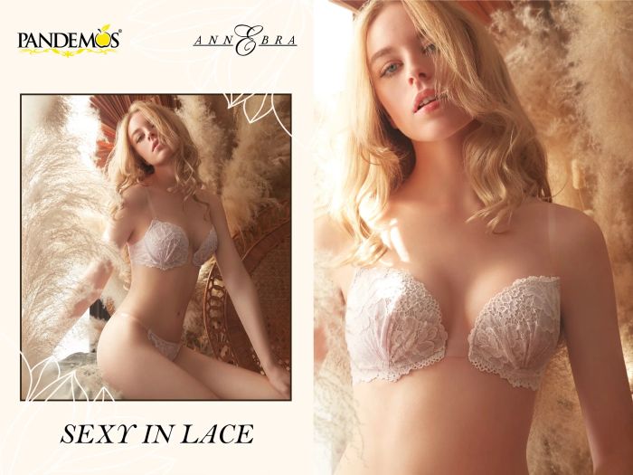 Pandemos Lingerie Việt Nam ảnh 2