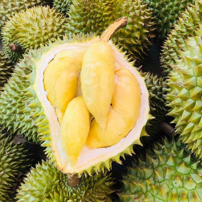 CleverFood - Hình ảnh thứ hai về quy trình kiểm định chất lượng nghiêm ngặt