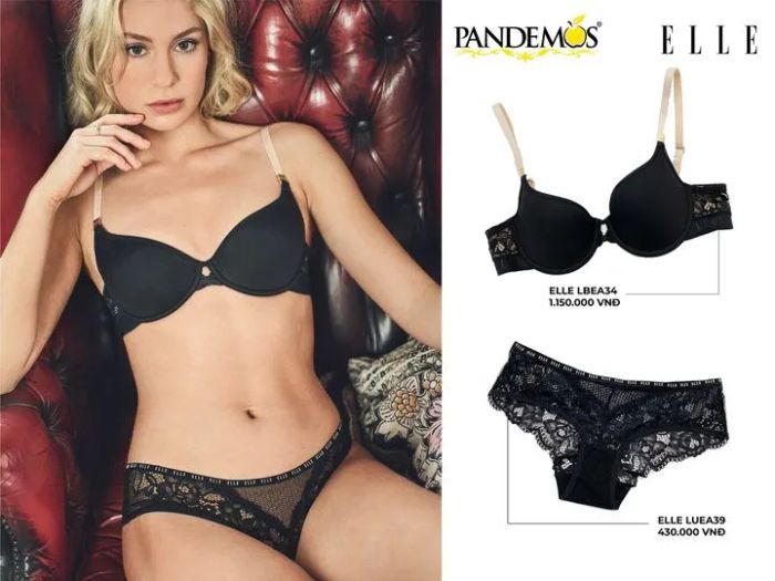 Pandemos Lingerie Việt Nam ảnh 1