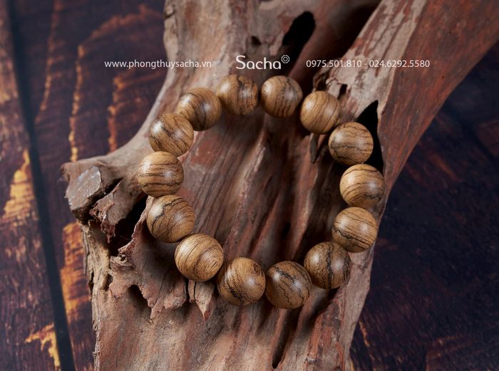 Hình ảnh đầu tiên về Phong thủy Sacha