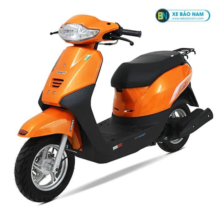 Không gian trưng bày đa dạng tại Xe Bảo Nam