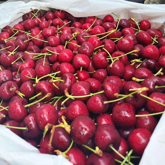 Hình ảnh đội ngũ chuyên gia Fuji Fruit kiểm định chất lượng từng loại trái cây
