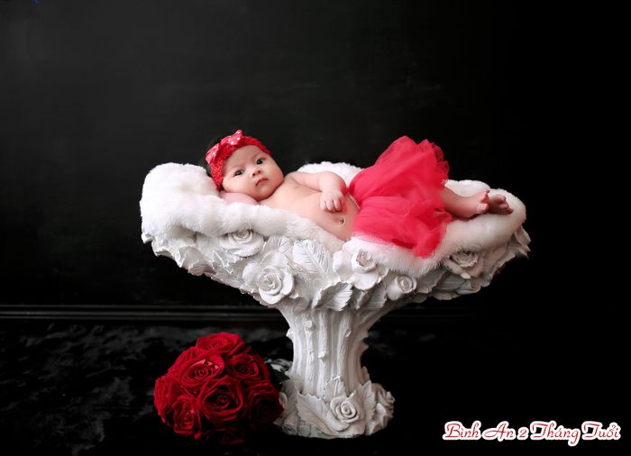 Tuyển tập hình ảnh đáng yêu tại BiBi Studio
