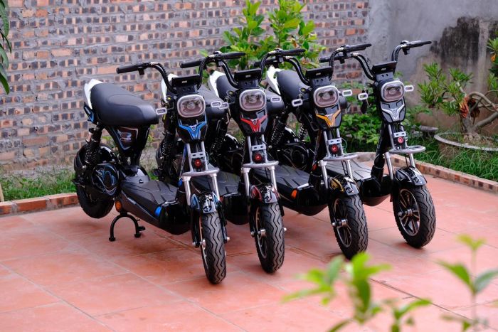 Không gian trưng bày đa dạng tại Xe Điện Bảo Tín