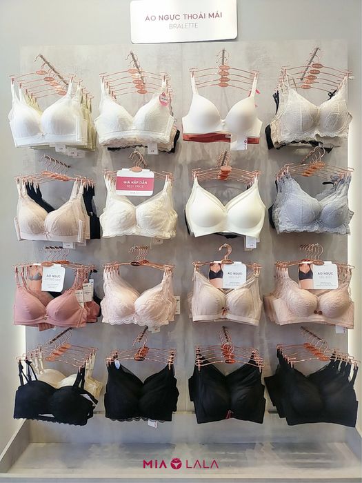 Onoff - Thương hiệu đồ lót hàng đầu Việt Nam với chất lượng vượt trội