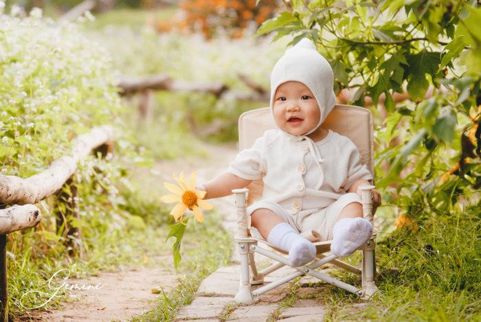 Khoảnh khắc vàng tại Gemini Baby Studio