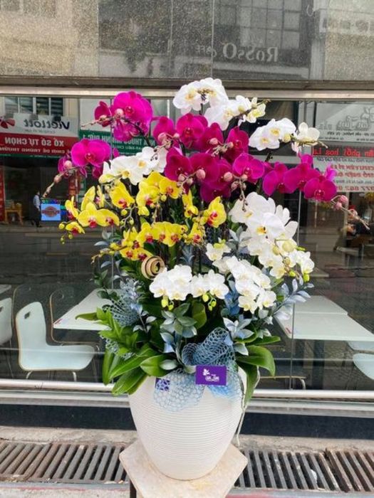 Bộ sưu tập lan hồ điệp đa sắc tại Shop Hoa Lan Tím - Ảnh 3