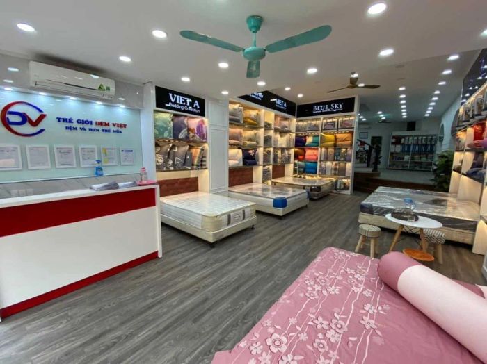 Thế Giới Đệm Việt ảnh 1