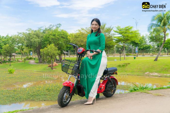 Hình ảnh ấn tượng về Thế Giới Xe Chạy Điện - phiên bản đầu tiên