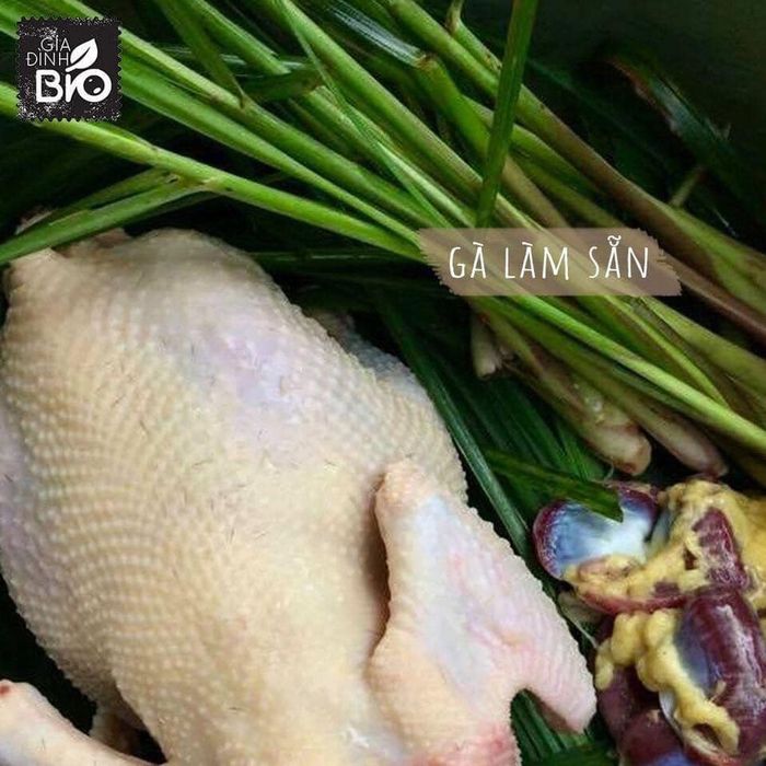 Gia đình Bio - Hình ảnh thứ hai minh chứng cho quy trình tuyển chọn nghiêm ngặt