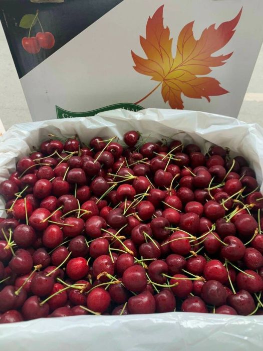 Không gian mua sắm sang trọng tại BigFruit