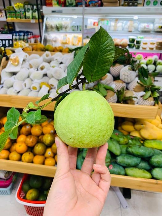BigGreen - Hình ảnh thứ hai minh chứng cho chất lượng vượt trội của nông sản hữu cơ