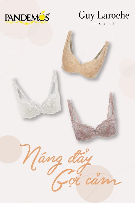Pandemos Lingerie Việt Nam ảnh 3