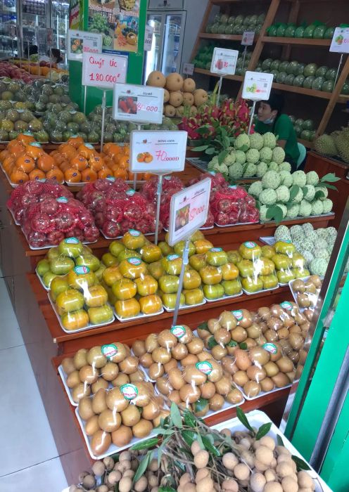 Bộ sưu tập trái cây cao cấp tại Thủy Anh Fruits