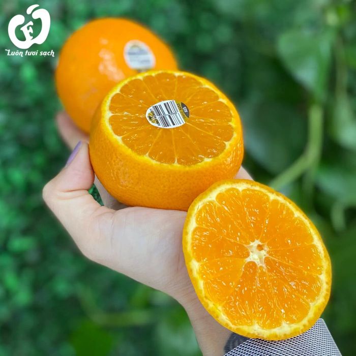 Khoảnh khắc chuyên gia kiểm tra chất lượng hoa quả nhập khẩu tại hệ thống Luôn Tươi Sạch