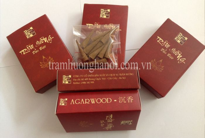 Hình ảnh độc quyền: Quy trình sản xuất trầm hương chuẩn VietGAP