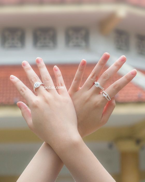 Cáo bạc - Trang sức vàng bạc ảnh 3