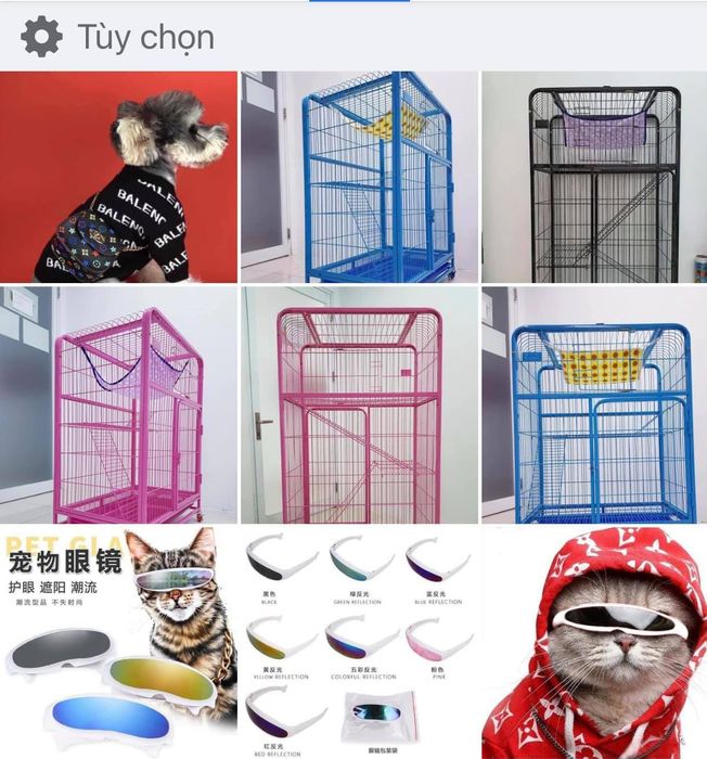 Hình ảnh Petdaily 1