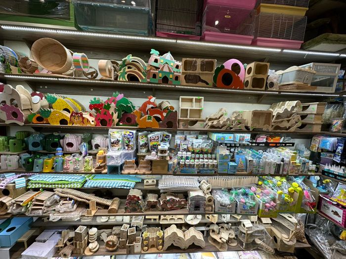 Hình ảnh Pet shop Miền Đất Hứa 1
