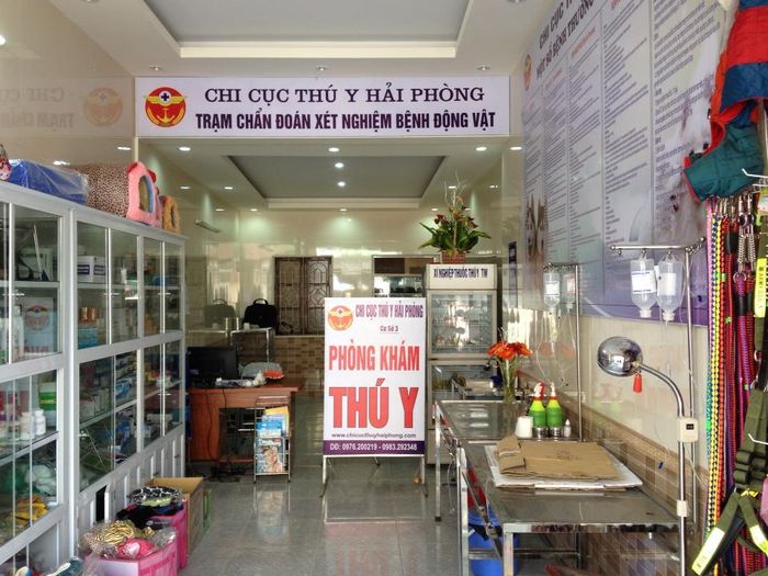 Phòng Khám Thú Y Dương Hoàng Group Hình Ảnh 1