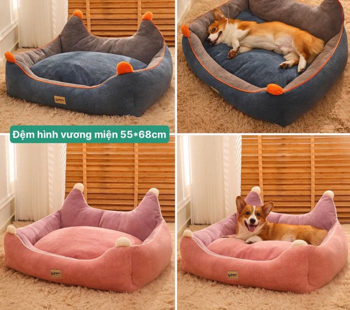 Hình ảnh Petshop Ốc Nhỏ 2