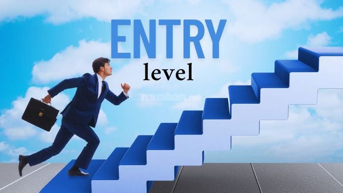 Entry level - Định nghĩa và đối tượng phù hợp