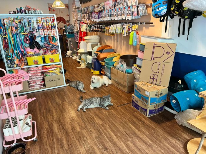 URBAN PET SHOP hình ảnh 1