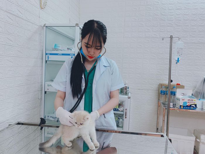 Phòng Khám Thú Y Mypet Hải Phòng Hình Ảnh 2