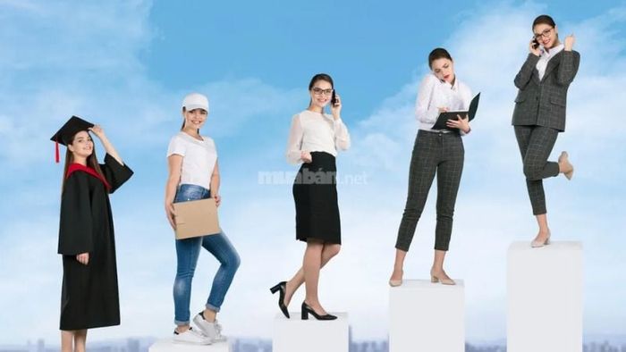 Entry Level chính là bước khởi đầu quan trọng cho hành trình phát triển nghề nghiệp