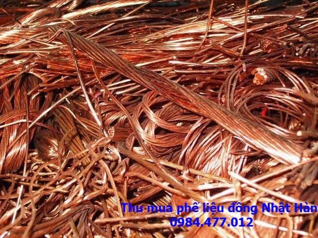 Hình ảnh đội ngũ nhân viên thu mua phế liệu tận tâm của Nhật Hàn (Ảnh 2)