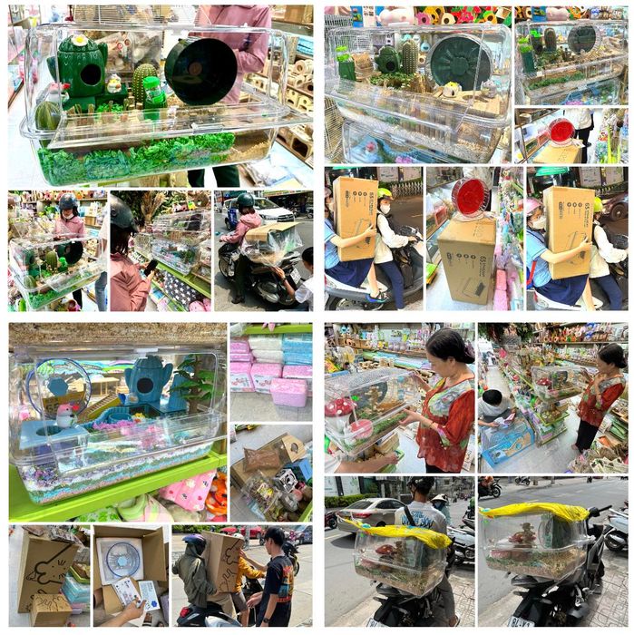 Hình ảnh Pet shop Miền Đất Hứa 2