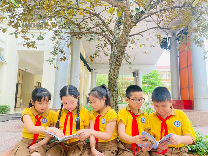 Ảnh 2: Toàn cảnh khuôn viên xanh mát của Trường Tiểu học Lê Hồng Phong