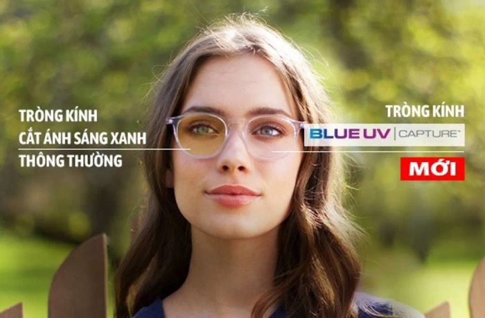 Hình ảnh showroom hiện đại của Kính Mắt Quang Hưng