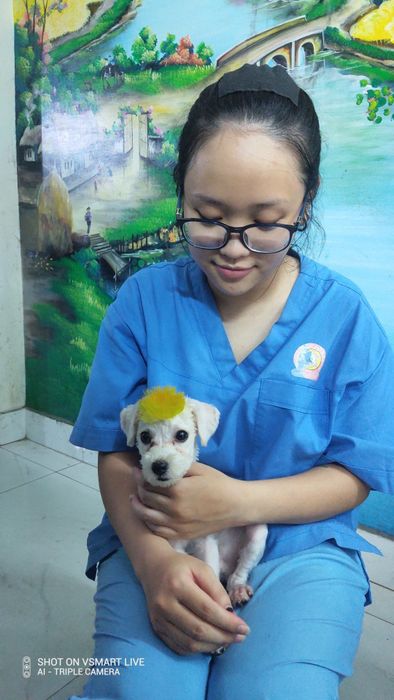 Bệnh Viện Thú Y Đức Việt Hình Ảnh 1