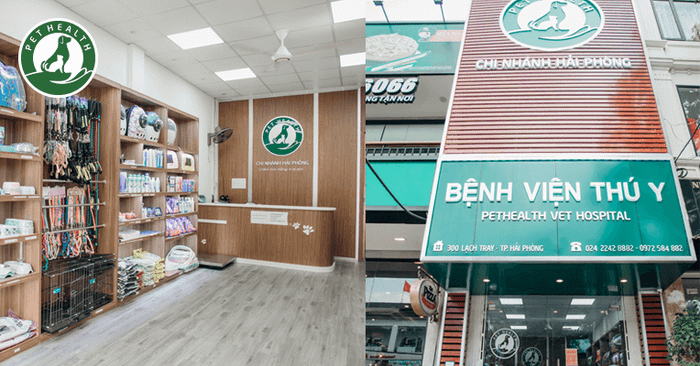 Bệnh Viện Thú Y PetHealth Hải Phòng Hình Ảnh 1