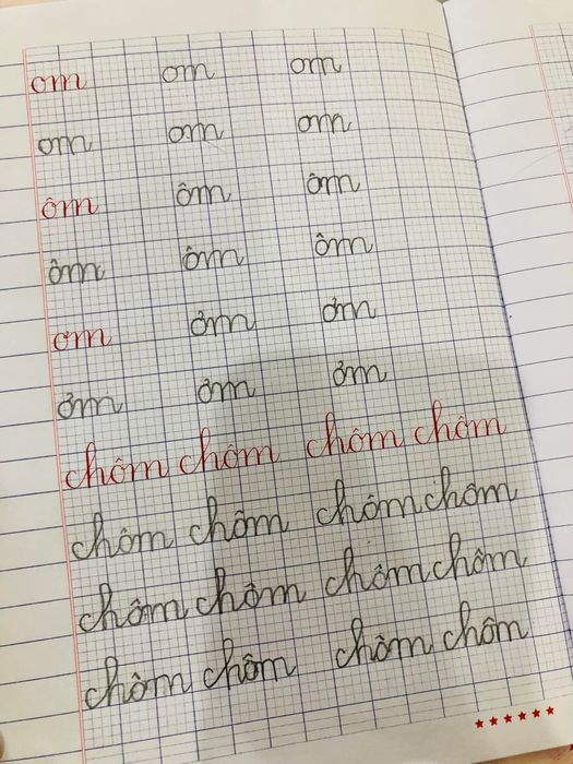 Hình ảnh thành tích học viên tại Hồng Nhung